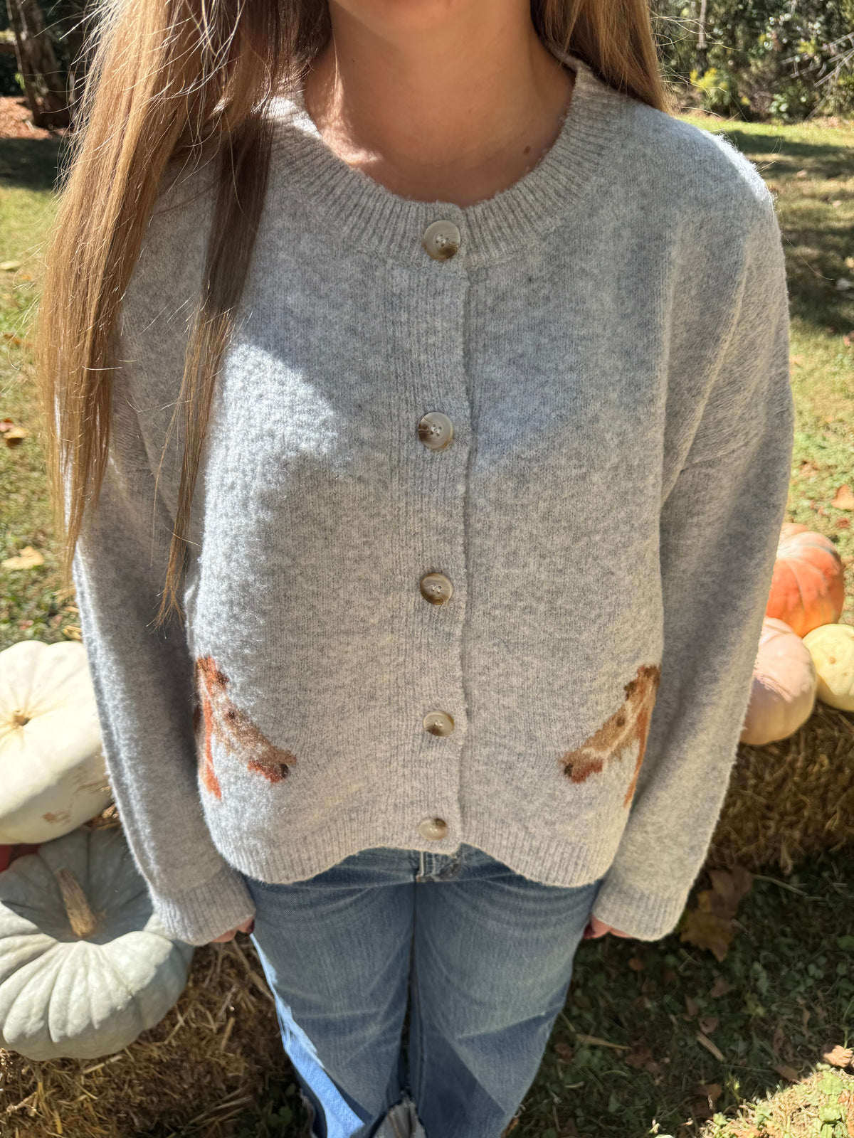 Horse Cardigan