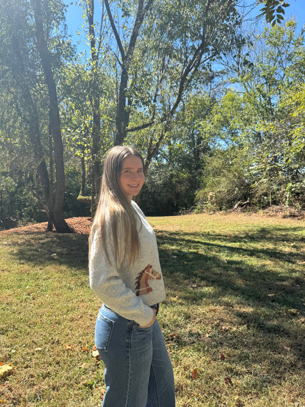 Horse Cardigan
